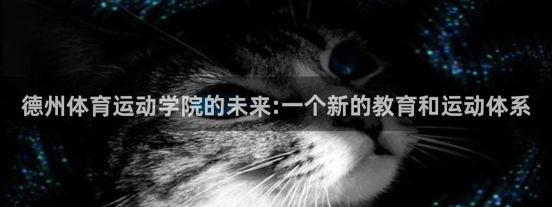 bbin视讯下