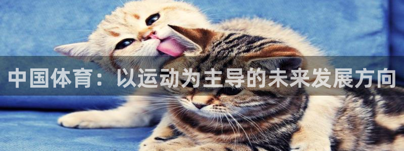 bbin视讯游戏官网