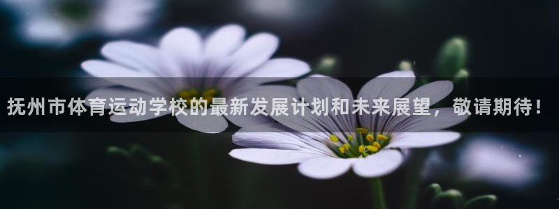 bbin视讯：抚州市体育运动学校的最新发展计划和未来展望，敬请期待！