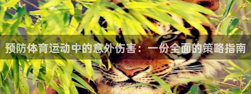 bbin视讯游戏官网