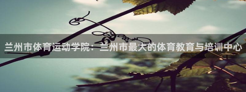 bbin视讯