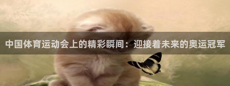 bbin视讯