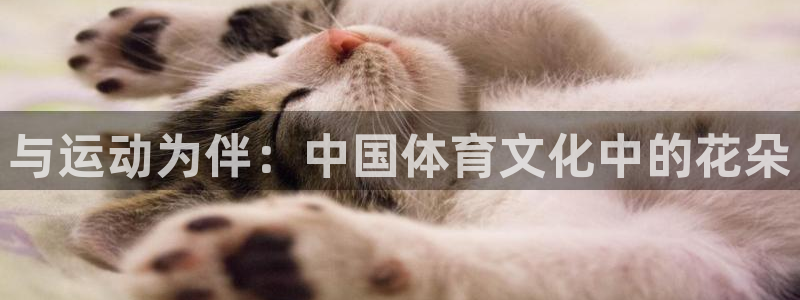 bbin视讯游戏官网：与运动为伴：中国体育文化中的花朵