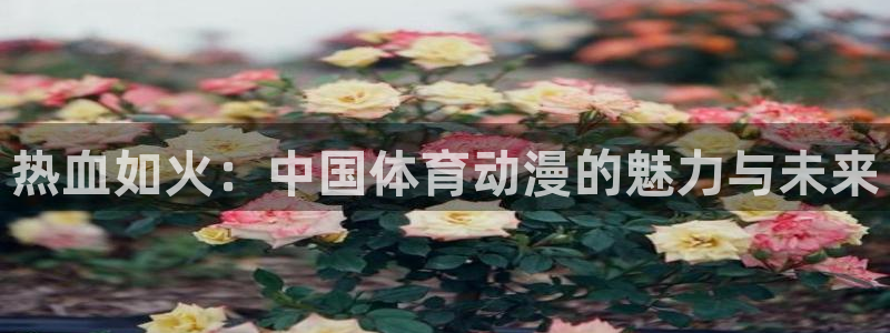 bbin视讯：热血如火：中国体育动漫的魅力与未来
