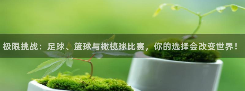 bbin视讯下：极限挑战：足球、篮球与橄榄球比赛，你的选择会改变世界！
